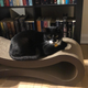 Sirius, my thicc kitty